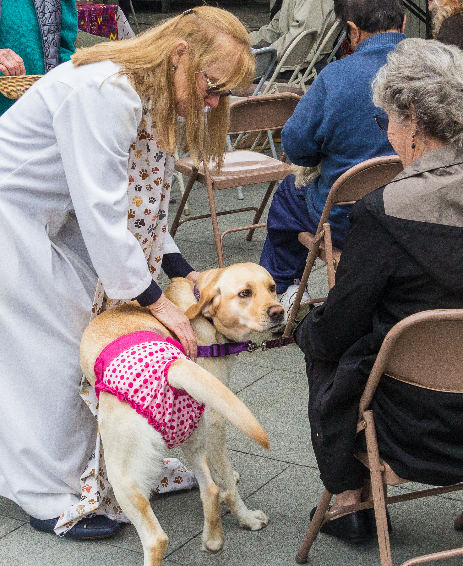 Blessing animals 20183 First Congregational Church of San Rafael